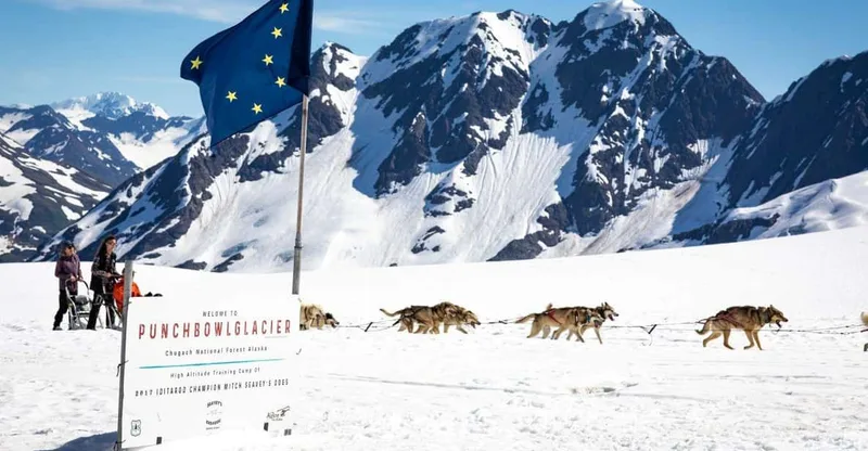 Helicopter Glacier Dogsledding Tour — helicopter tour in Anchorage