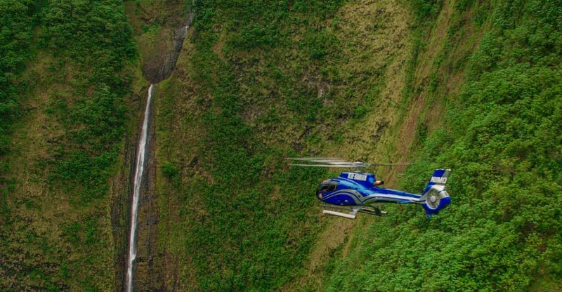 From Waikoloa: Kohala Coast Helicopter Adventure — helicopter tour in Big Island