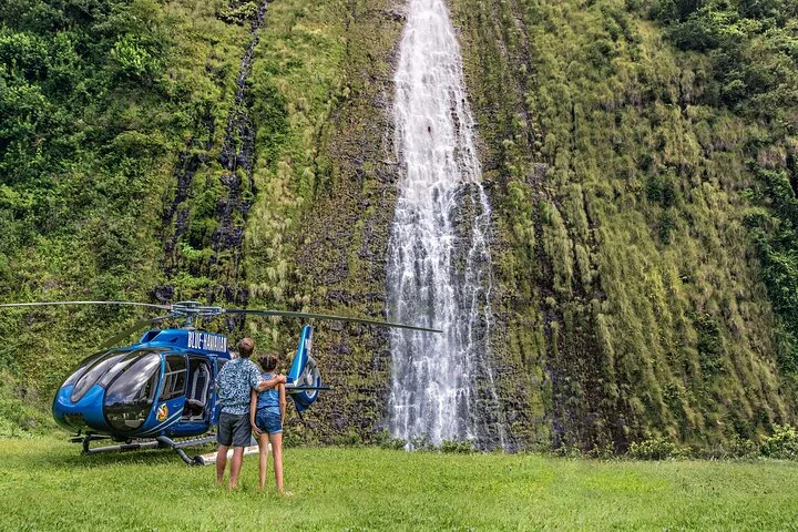 Kohala Waterfalls with Exclusive Landing Helicopter Tour — helicopter tour in Big Island