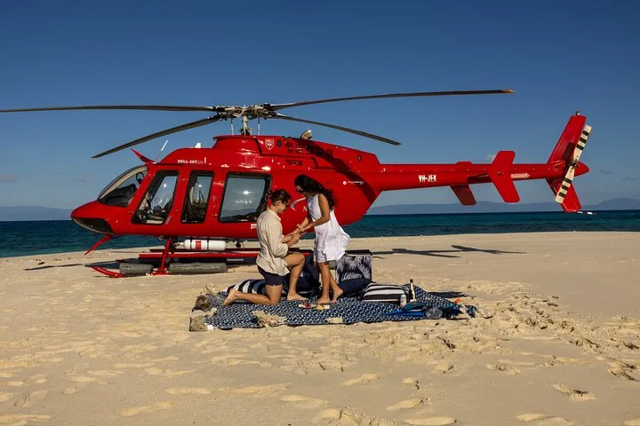 Private Helicopter Tour: Reef Island Snorkeling and Gourmet Picnic Lunch — helicopter tour in Cairns