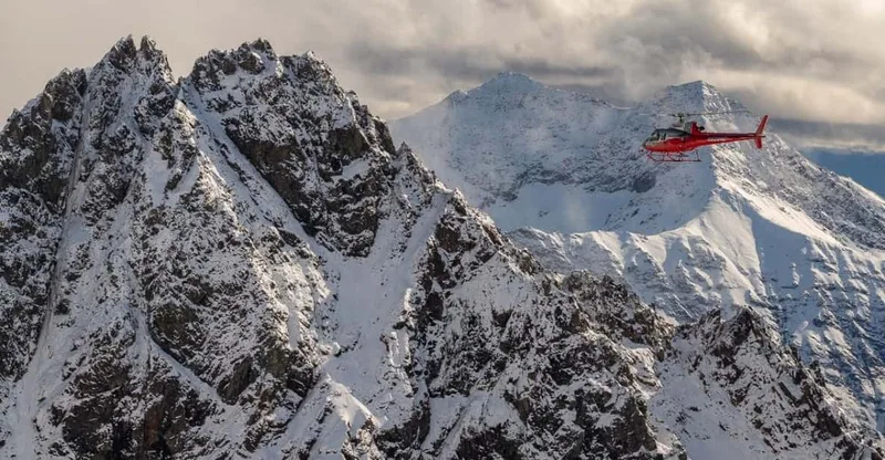 Denali National Park: Helicopter Flight with Glacier Landing — helicopter tour in Denali