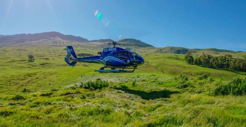 Maui and Molokai: Spectacular Helicopter Tour — helicopter tour in Maui